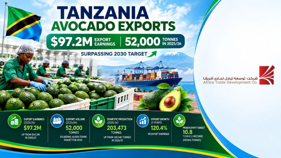 https___irantanzania.ir_tanzania-avocado-exports-97-million_